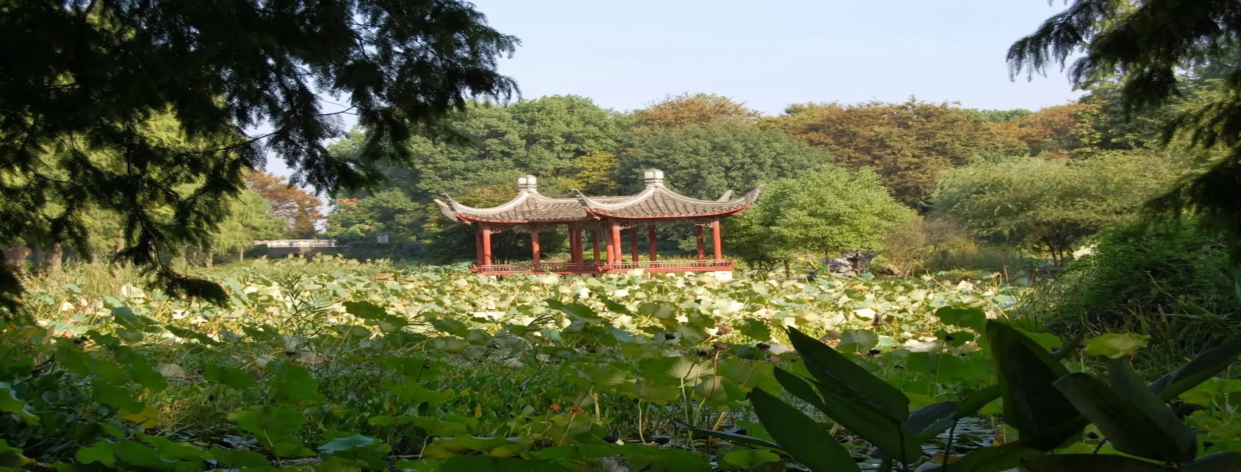 Image for Wuhan Botanical Garden